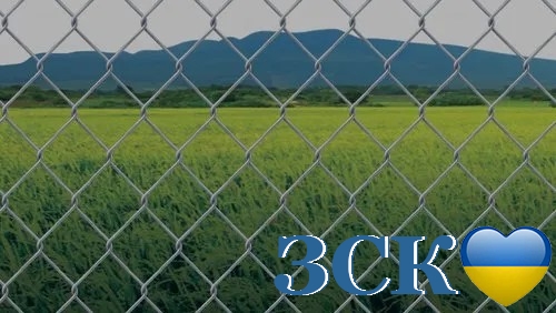 купить сетка рабица