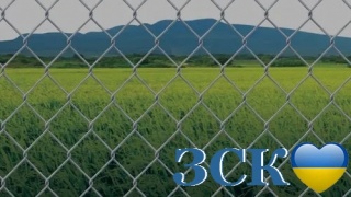 купить сетка рабица