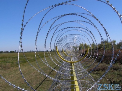 егоза на бетонном заборе