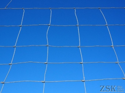 DFL-Netz